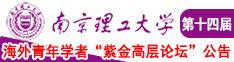 欧美人妖在线观看南京理工大学第十四届海外青年学者紫金论坛诚邀海内外英才！
